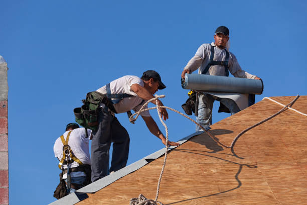 Best Roof Gutter Cleaning  in Valdese, NC